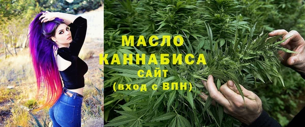 молекула духа Новозыбков