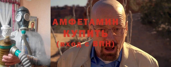 молекула духа Новозыбков