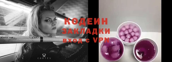 молекула духа Новозыбков