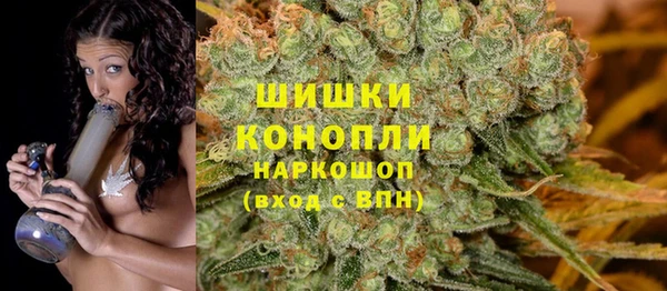 молекула духа Новозыбков