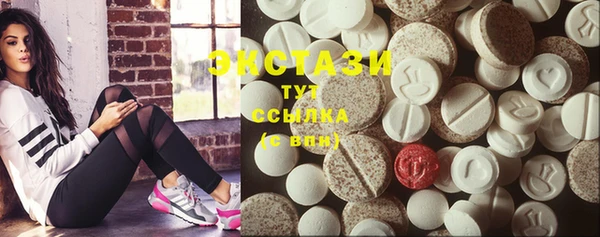 молекула духа Новозыбков