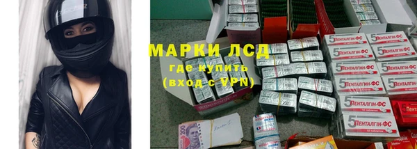 молекула духа Новозыбков