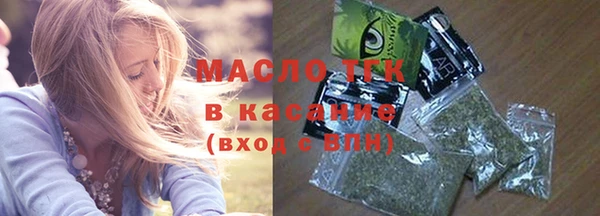 молекула духа Новозыбков