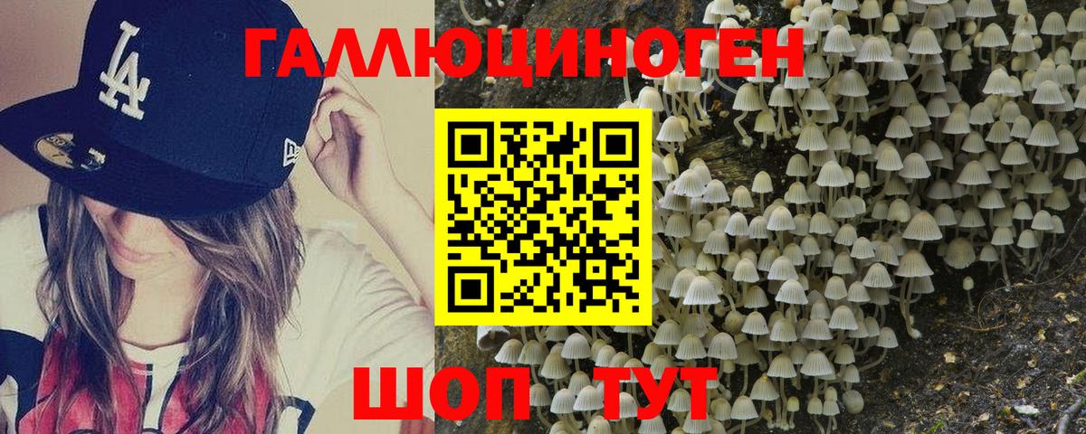 Псилоцибиновые грибы Psilocybe Алатырь