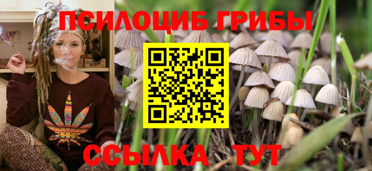 Галлюциногенные грибы Psilocybe  Галлюциногенные грибы Magic Shrooms  Алатырь 